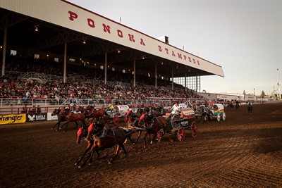 Chuckwagon races at the Ponoka Stampede