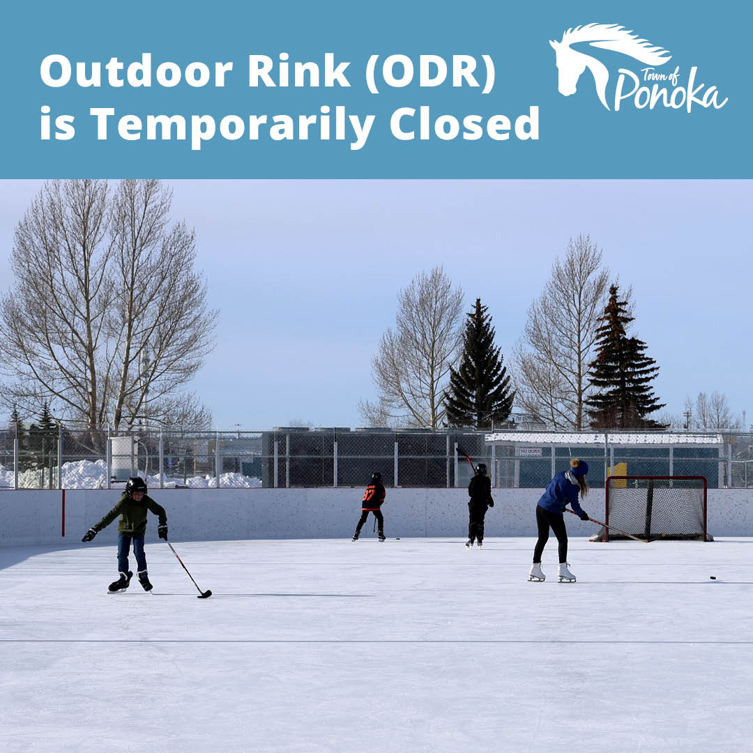 People skating on the outdoor rink