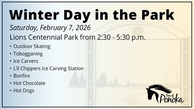 Winter Day in the Park