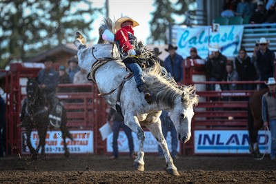 Bronc Riding