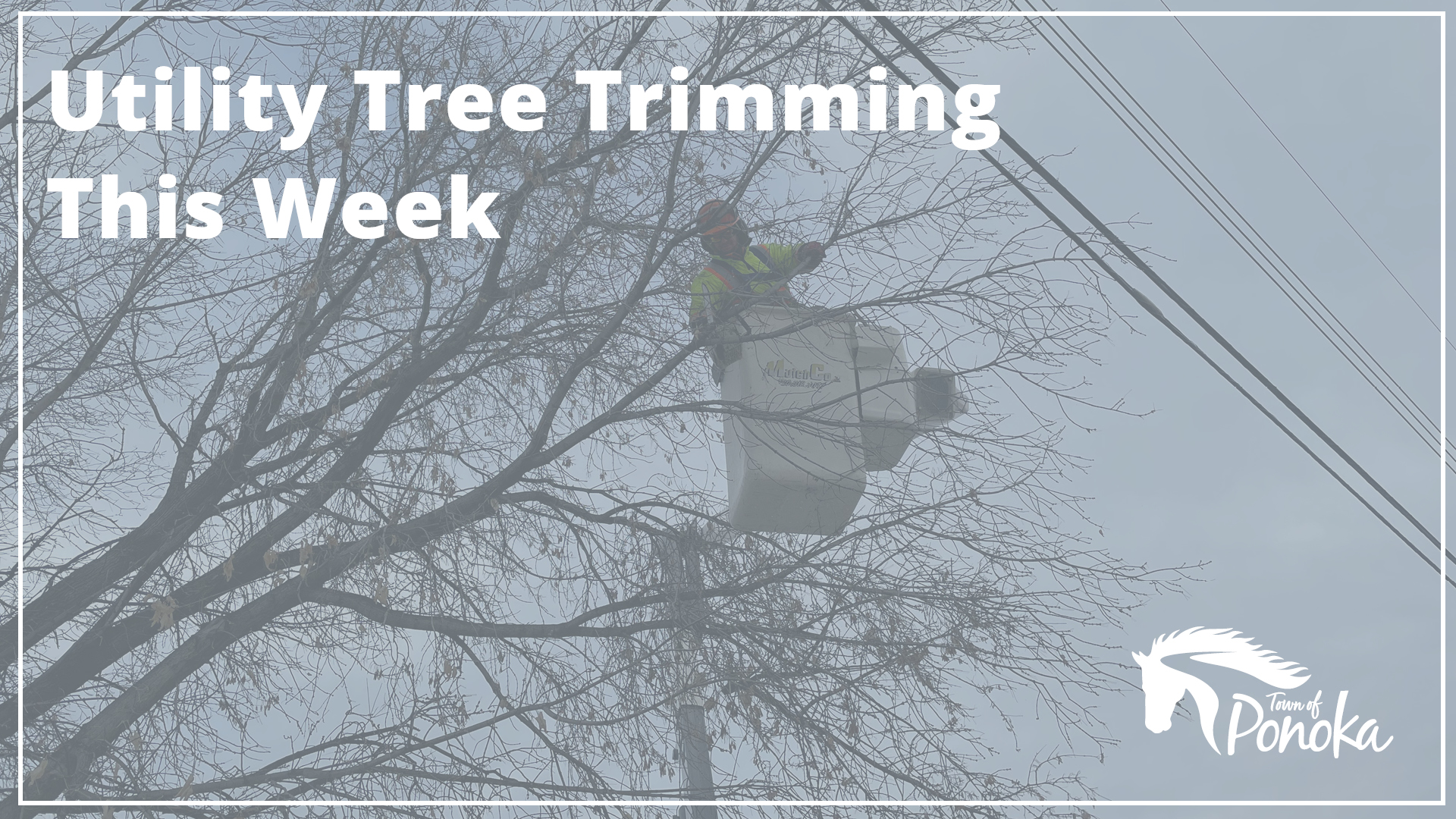 Utility Tree Trimming This Week