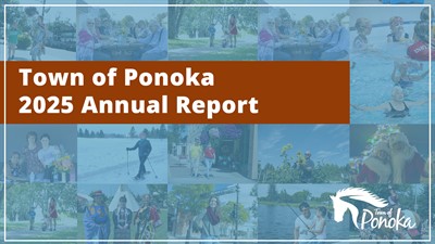 2025 Annual Report