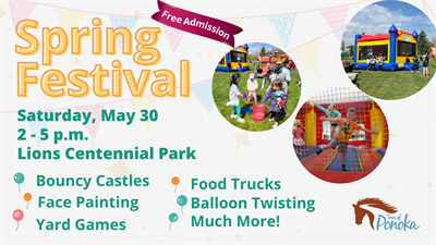 Spring Festival Poster