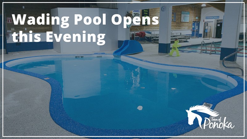 Wading_Pool_Opens_-_FBX