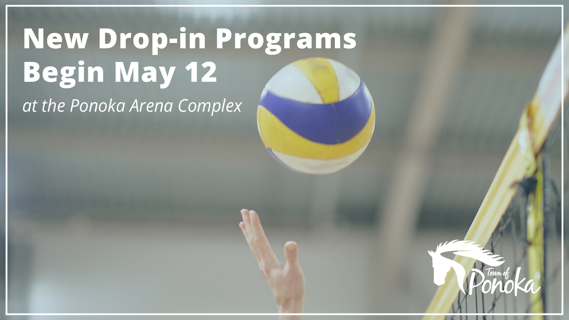 A person playing volleyball